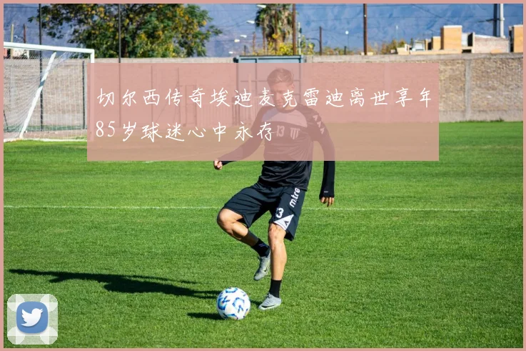 切尔西传奇埃迪麦克雷迪离世享年85岁球迷心中永存