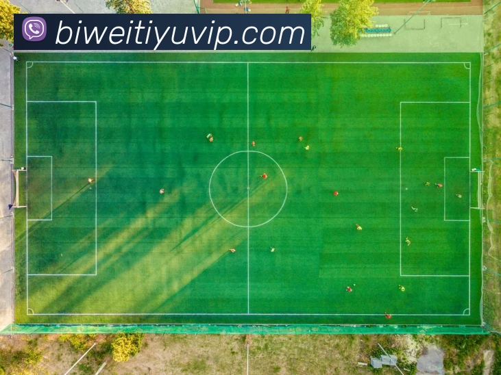 必威体育APP 高清赛事图